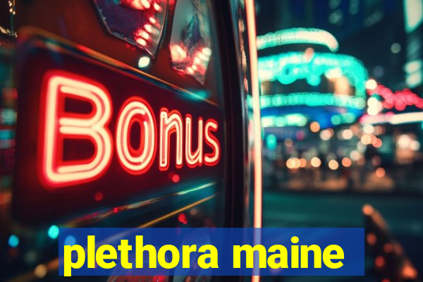 plethora maine